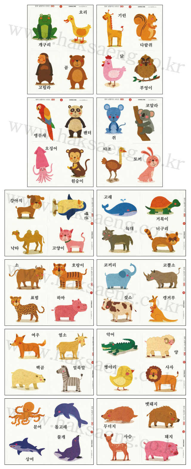 동물카드.jpg