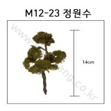 [모형나무]M12-23 정원수