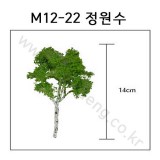 [모형나무]M12-22 정원수