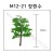 [모형나무]M12-21 정원수
