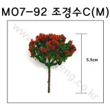 [모형나무]M07-92 조경수C형M(2그루)