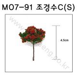 [모형나무]M07-91 조경수C형S(2그루)