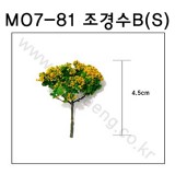 [모형나무]M07-81 조경수B형S(2그루)