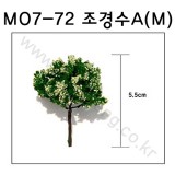 [모형나무]M07-72 조경수A형M(2그루)