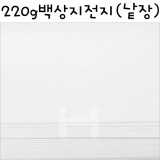 (배송제한)[제도지/모조지]220g 백상지전지(낱장)