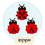 [환경용품]청양 공간꾸미기(펠트소품) - 무당벌레