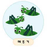 [환경용품]청양 공간꾸미기(펠트소품) - 메뚜기