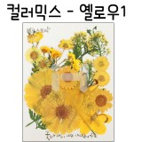 [압화공예]컬러믹스 - 옐로우1 꽃모음(누름꽃/말린꽃)