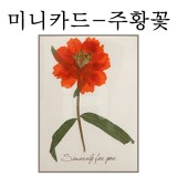 [압화향기카드]주황꽃_1개남음