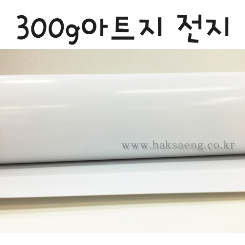 [배송제한]300g아트지전지(아드지)