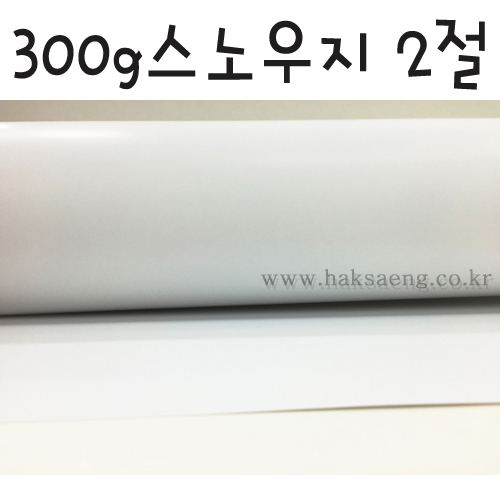 [배송제한] 300g 스노우지 스노우화이트 2절지