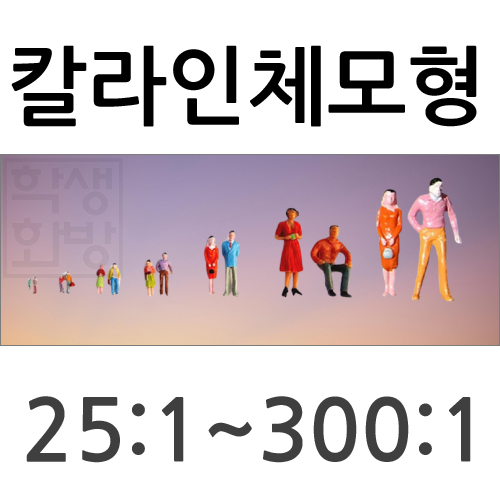 [미니어처]모형재료 - 칼라인체모형 8종