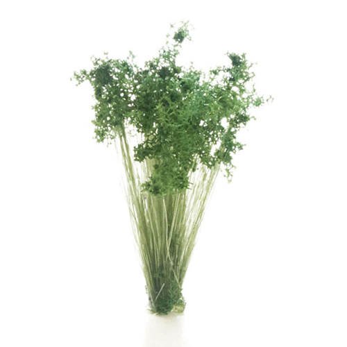 ★주문품★ [모형재료] JWFS778 수풀완제품(다크그린 대초원 목초 DARK GREEN PRAIRIE GRASS)