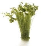 ★주문품★ [모형재료] JWFS777 수풀완제품(미디엄그린 대초원 목초 MEDIUM GREEN PRAIRIE GRASS)