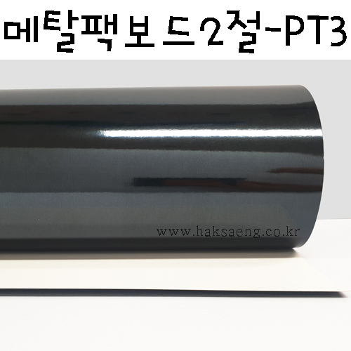 [배송제한]300g 메탈팩보드2절 - PT3 유광검정