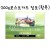 [FABRIANO 수채화엽서팩] PC06 포스트카드 점보 (황목) - 104x150mm (A6)