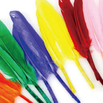 거위깃털18cm 1봉(10개입)