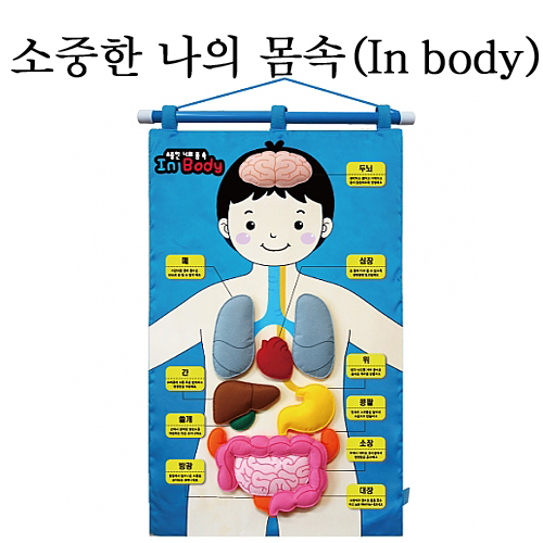 재고한정 [청양] 벽걸이교구 - 소중한 나의 몸속 In Body _1개남음