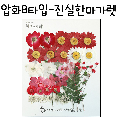 (재고한정) [압화공예]압화B타입 - 진실한마가렛 꽃모음(누름꽃/말린꽃)_5개남음