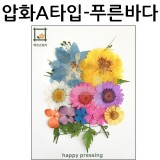 [압화A타입]  교구꽃 푸른바다 꽃모음 누름꽃 말린꽃 공예