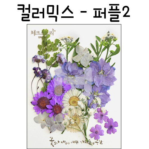 (재고한정) [압화공예]컬러믹스 - 퍼플2 꽃모음(누름꽃/말린꽃)_3개남음
