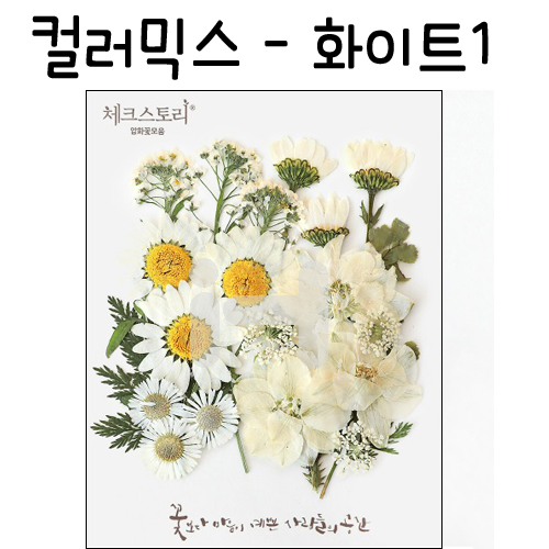 (재고한정) [압화공예]컬러믹스 - 화이트1 꽃모음(누름꽃/말린꽃)_3개남음