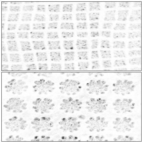 [배송제한][응용한지3]낙수지(63×93cm)