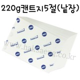 [전문가용 백색도화지] 220g 켄트지 5절지 낱장 1장