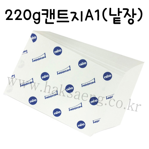 배송제한 [전문가용 백색도화지] 220g 켄트지 A1 낱장 1장