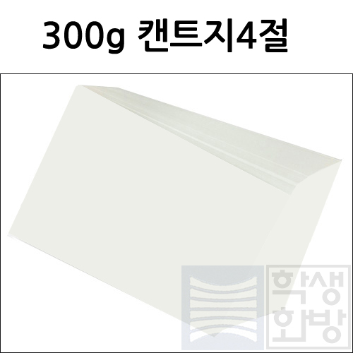 [전문가용 백색도화지] 300g 켄트지 4절지