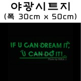 [야광시트지]IT-54000.축광시트지 (폭30cm x 50cm)