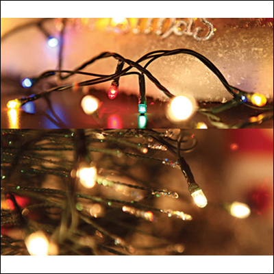 (재고한정) [크리스마스전구]4Ø 120P 반딧불전구(6M) - 녹색선 투명(노랑색)_1개남음