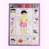 [아기별코팅자료]큰그림화보(큰벽그림) - 16.마이바디(내몸의이름)_2개남음