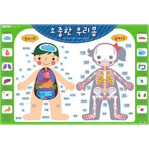 (재고한정) [창대코팅자료]큰그림화보(큰벽그림) - 13.소중한우리몸_7개남음