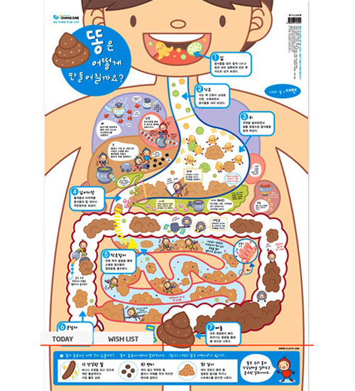[창대코팅자료]큰그림화보(큰벽그림) - 7.똥은어떻게만들어질까요_3개남음