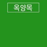 (재고한정) [옥양목] 단색천 - 초록(39x70cm)_27장남음