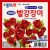 재고한정 [종이나라] 1000 빨강장미접기 2색30매 - 중 120x120mm _155개남음