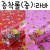 (재고한정) [비닐포장지]캐릭터증착롤포장지(중) - 라바