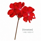 [쁘띠팬시] DA5556 압화 꽃 스티커 (제라늄)