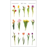 [쁘띠팬시] DA5559 압화스티커(튤립)