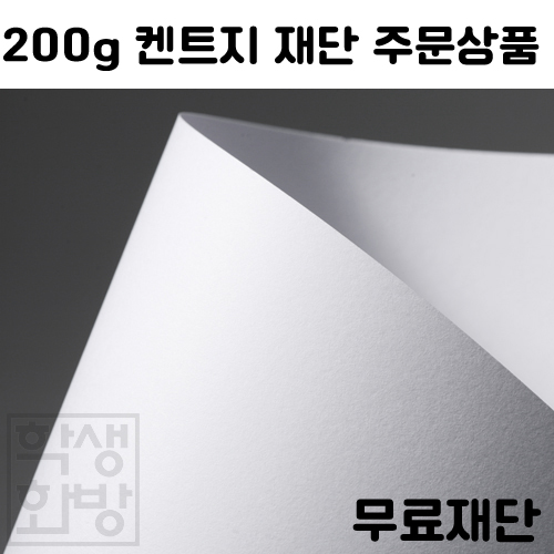 ★주문품★ [백색도화지] 200g 켄트지 드로잉 페이퍼 전지 20매 종이무료재단 1절지 2절지 4절지 8절지 B4 A4 A3