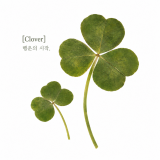 [쁘띠팬시] PD993 압화 꽃 스티커 (클로버)
